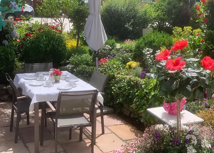 Irene Dorn // * 안데흐