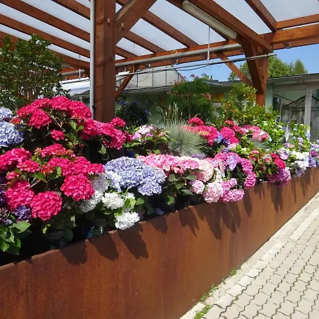 Blumenwohnung Irene Dorn דירה *